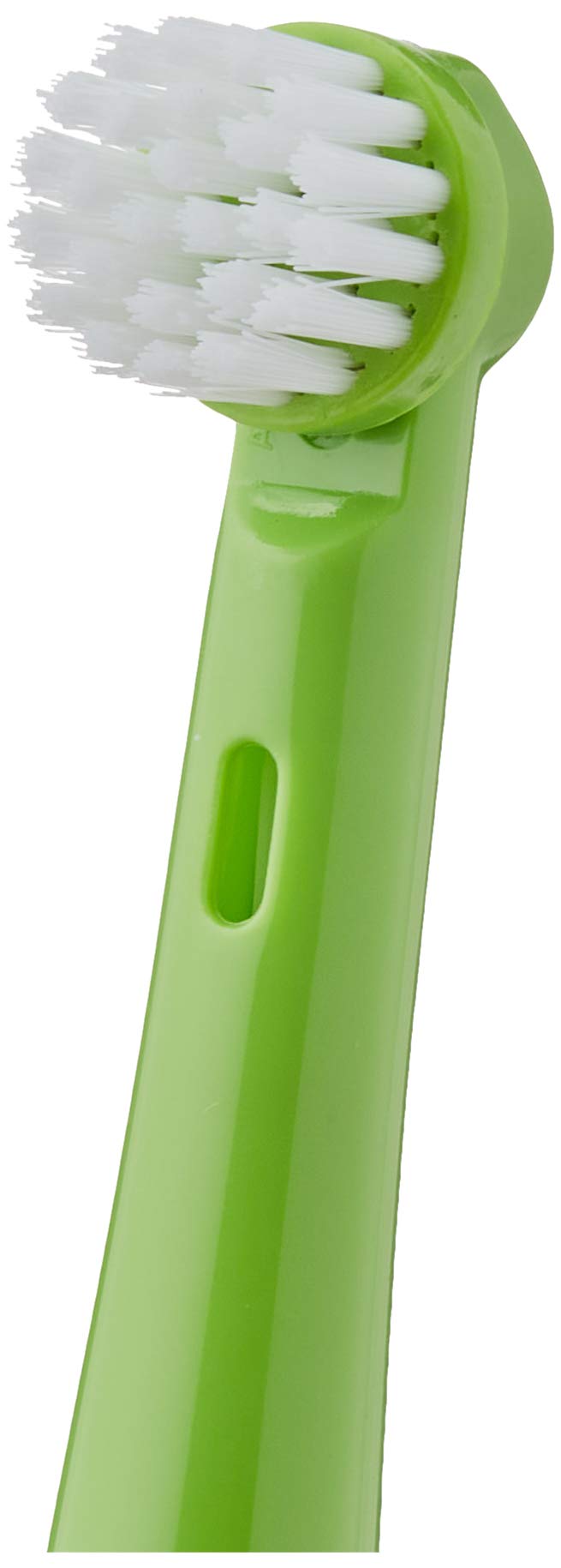 bestron-dsa5555a-brossettes-de-rechange-crazy-croc-pour-brosse-dents-lectrique-e image 3